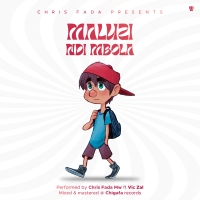 Maluzi Ndi Mbola