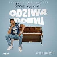 Odziwa Ndinu