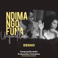 Ndimangofuna Ungondilora