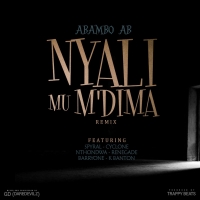 Nyali Mu Mdima