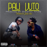 Pali Vuto