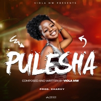 Pulesha