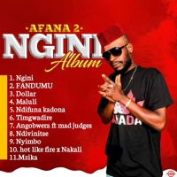 Ngini