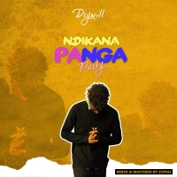 Ndikanapanga Party