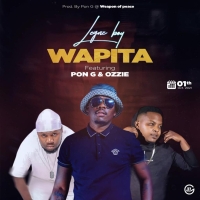 Wapita