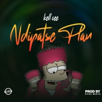 Ndipatse plan
