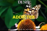 Addicted 