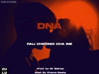 Pali Chikondi Chaine