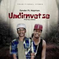 Undimvetse