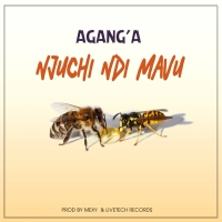 Njuchi Ndi Mavu