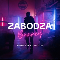 Zabodza