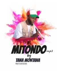 Mitondo