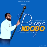 Ponya Ndodo