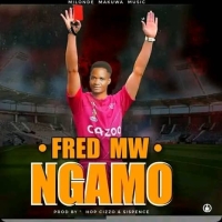 Ngamo Ngamo