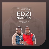 Edzi Ndiopsa