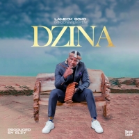 Dzina