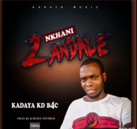 Nkhani Zandale