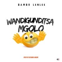 Wandigunditsa Mgolo