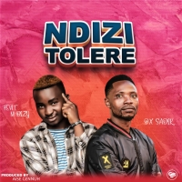 Ndizitolere