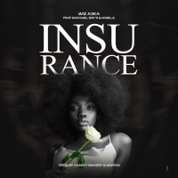 Insurance 