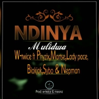 Ndinyamulidwa