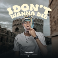 I Dont Wanna Die
