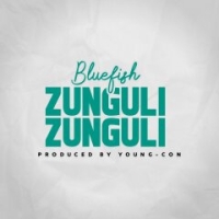 Zungulizunguli