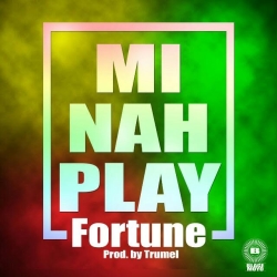 Mi Nah Play