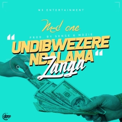 Undibwezere Ndalama Zanga