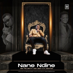 Nane Ndine