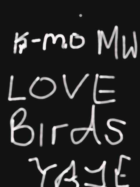 Love Birds