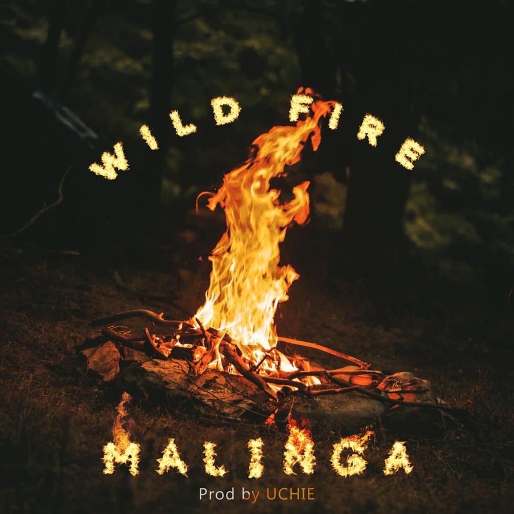 Wild Fire