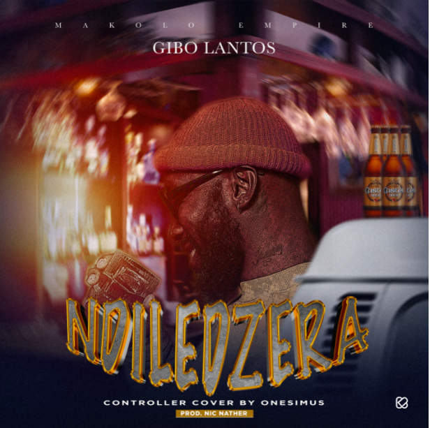 Ndiledzera (Controller Cover)
