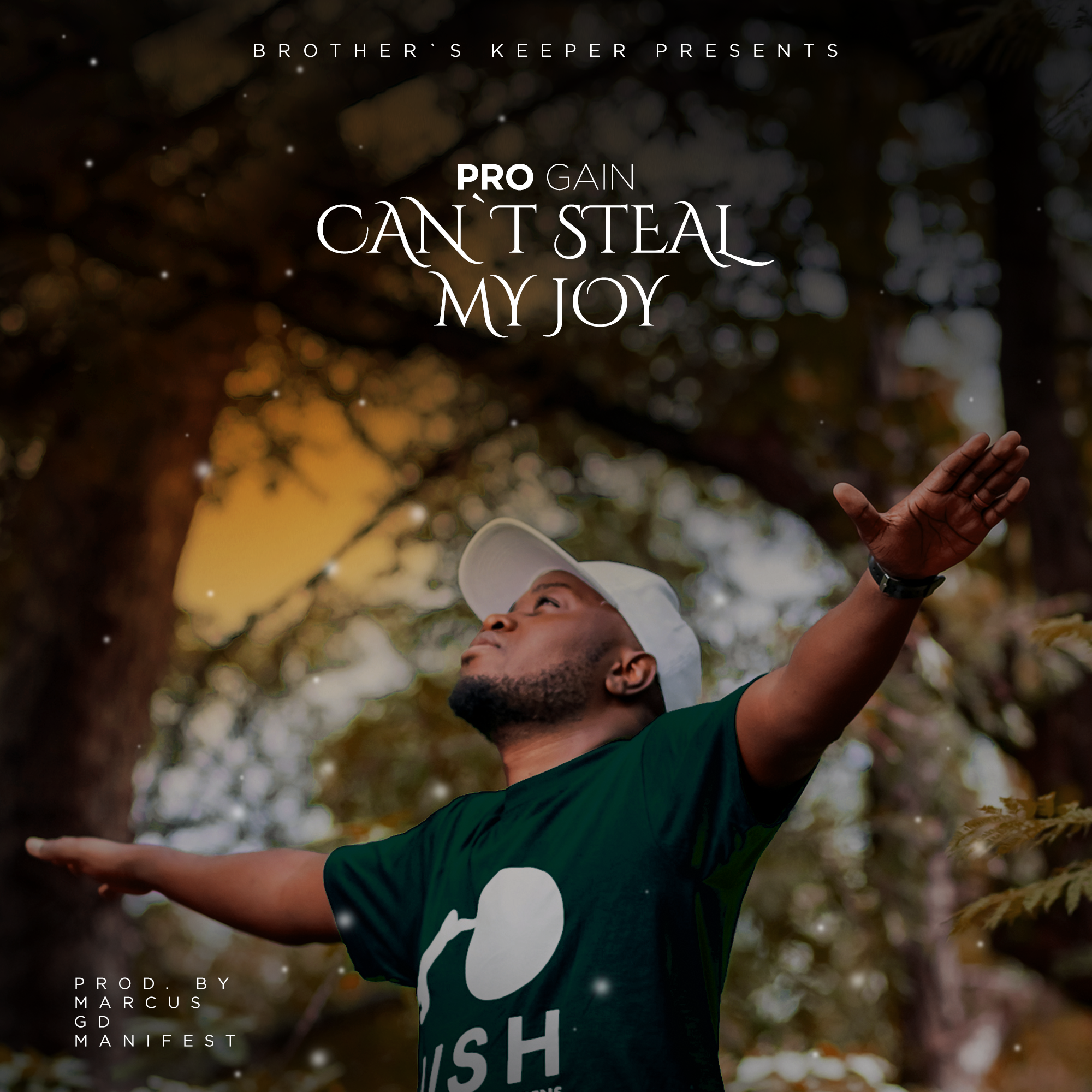 Cant Steal My Joy