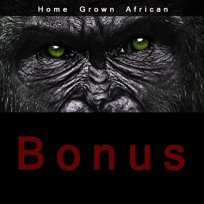 Bonus