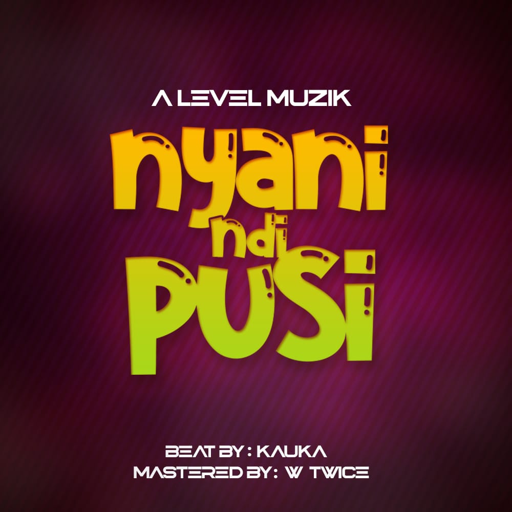 Nyani Ndi Pusi