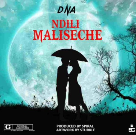 Ndili Maliseche