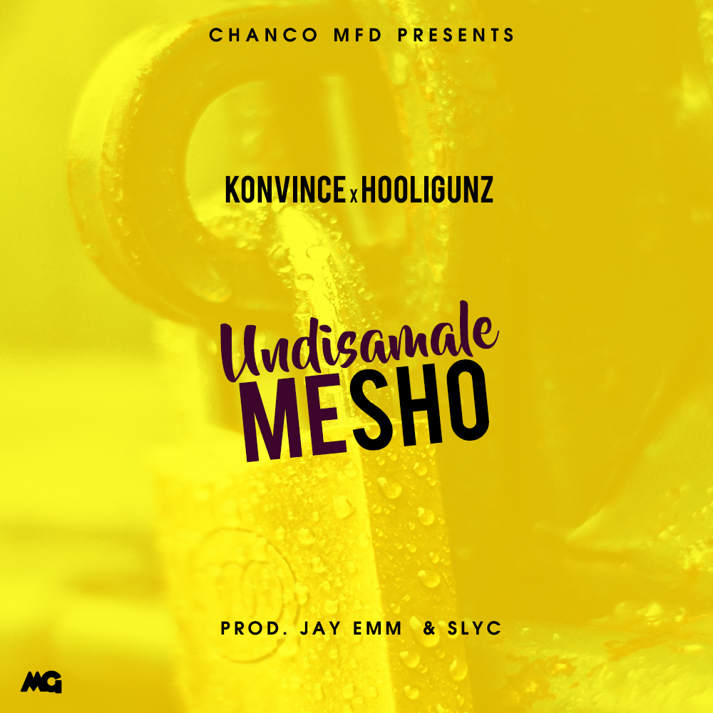 Undisamale Mesho