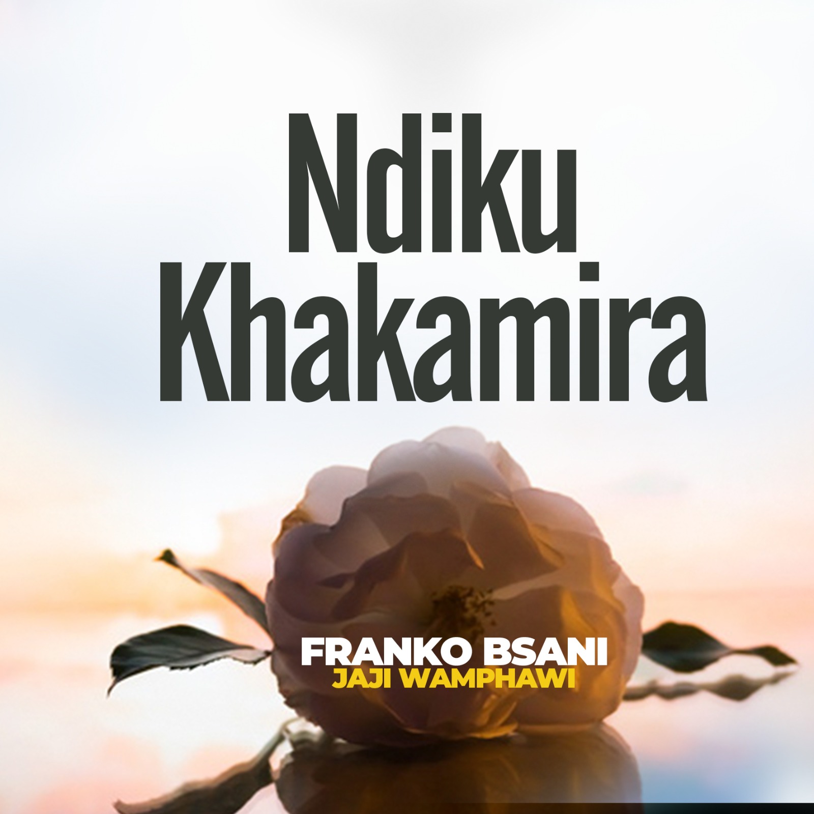 Ndikukakamira