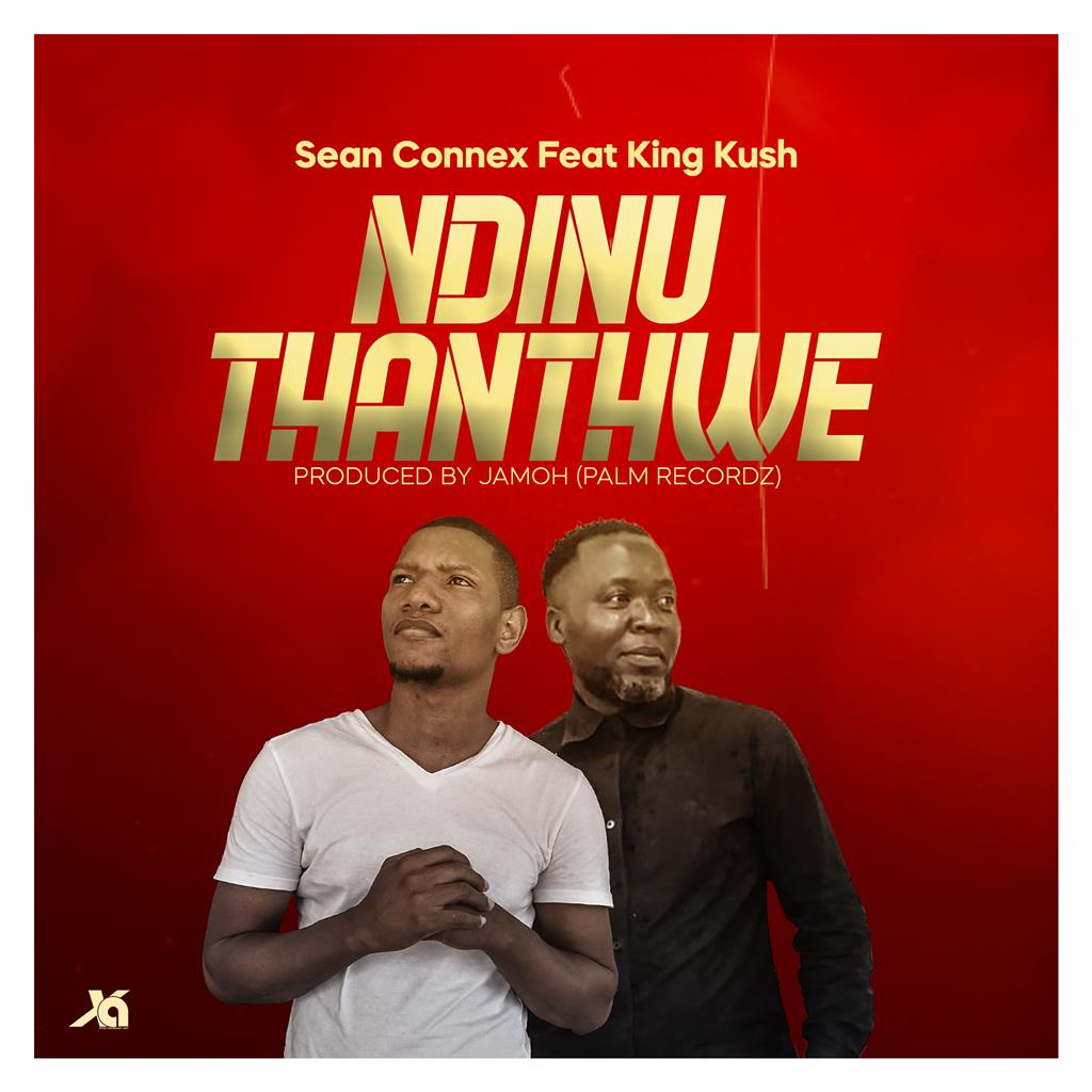 Ndinu Thathwe