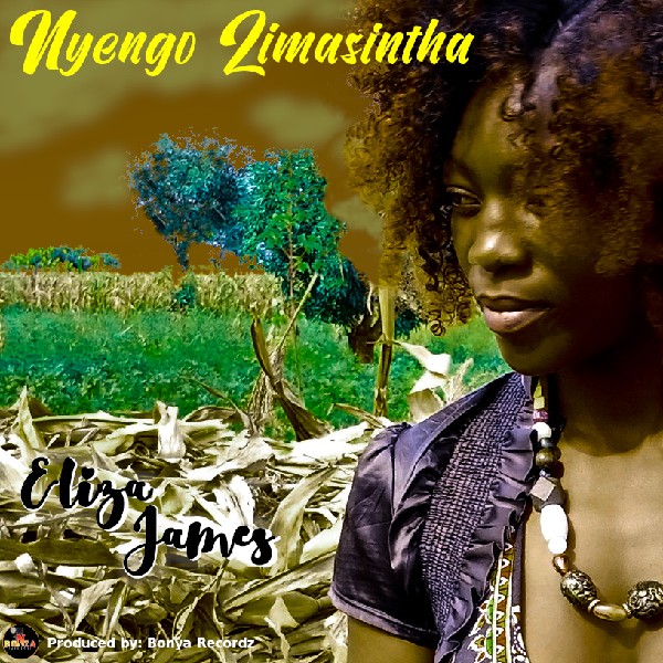 Nyengo Zimasintha