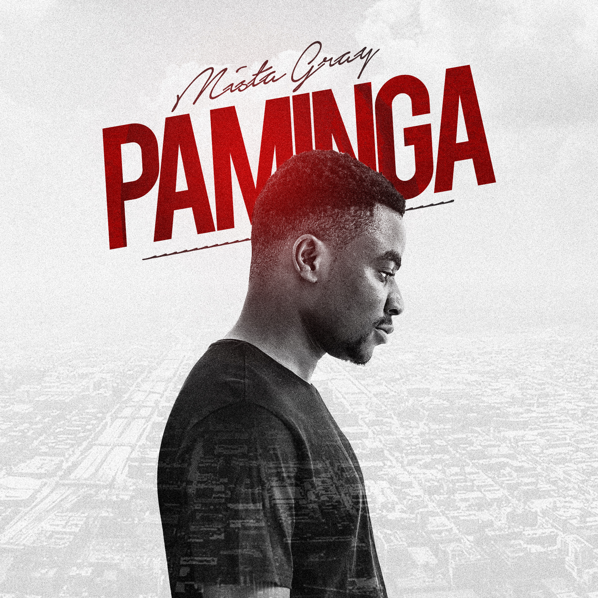 Paminga