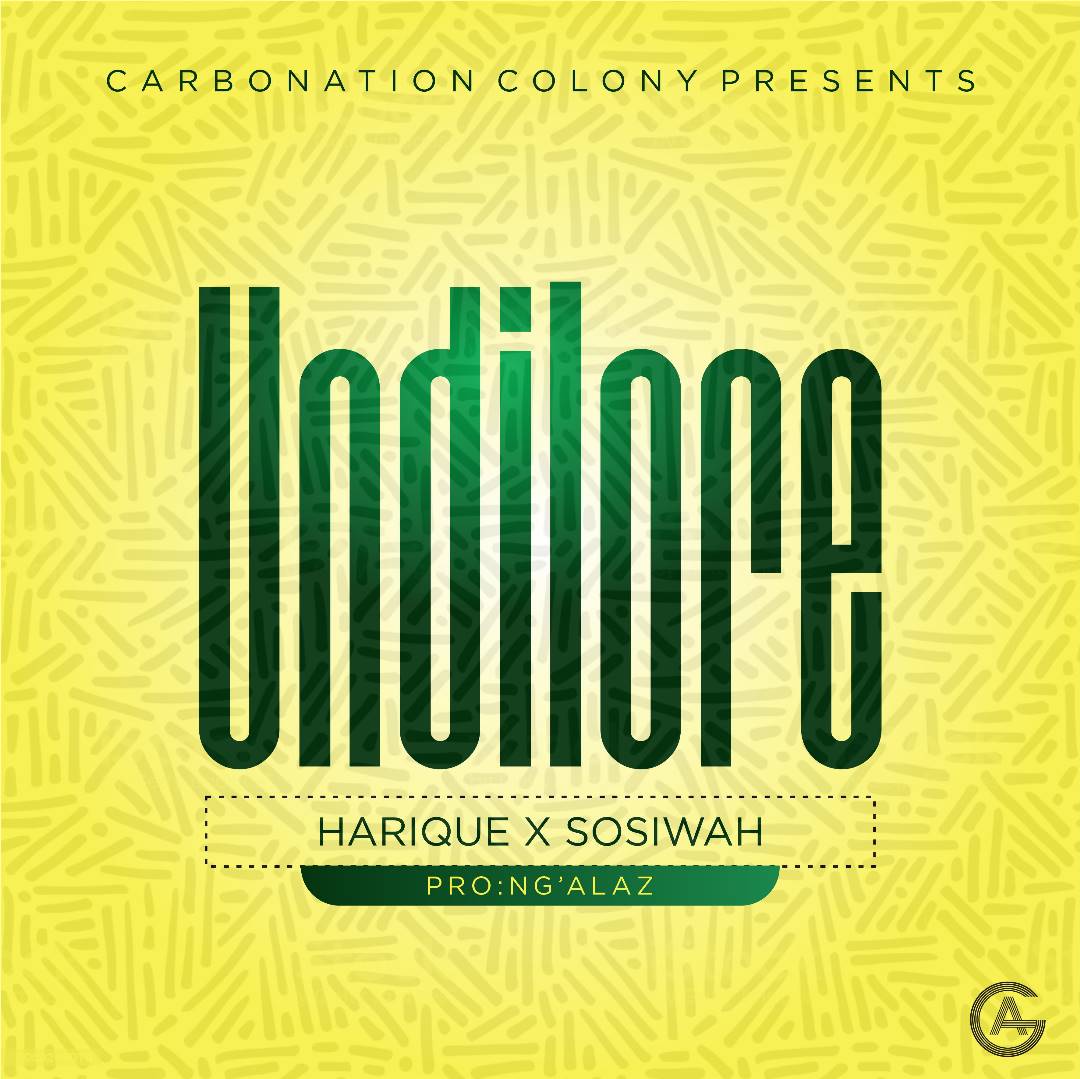 Undilore