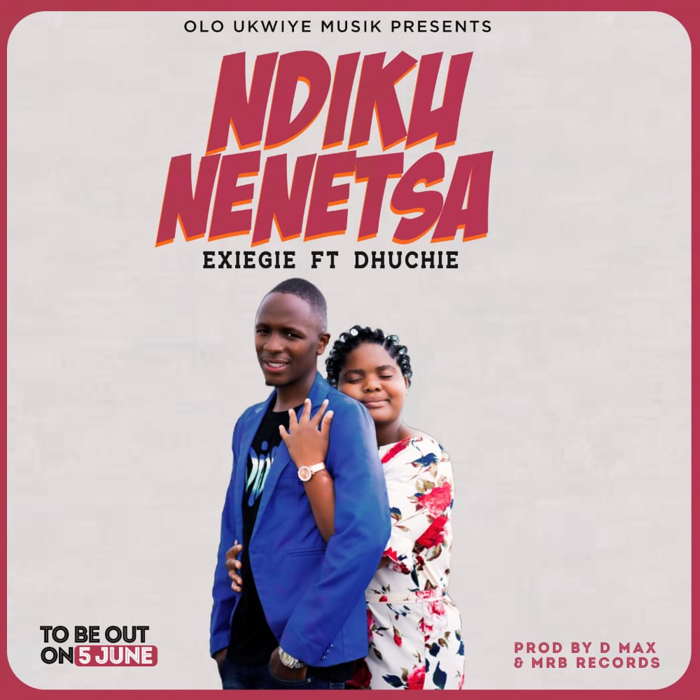 Ndikunenetsa