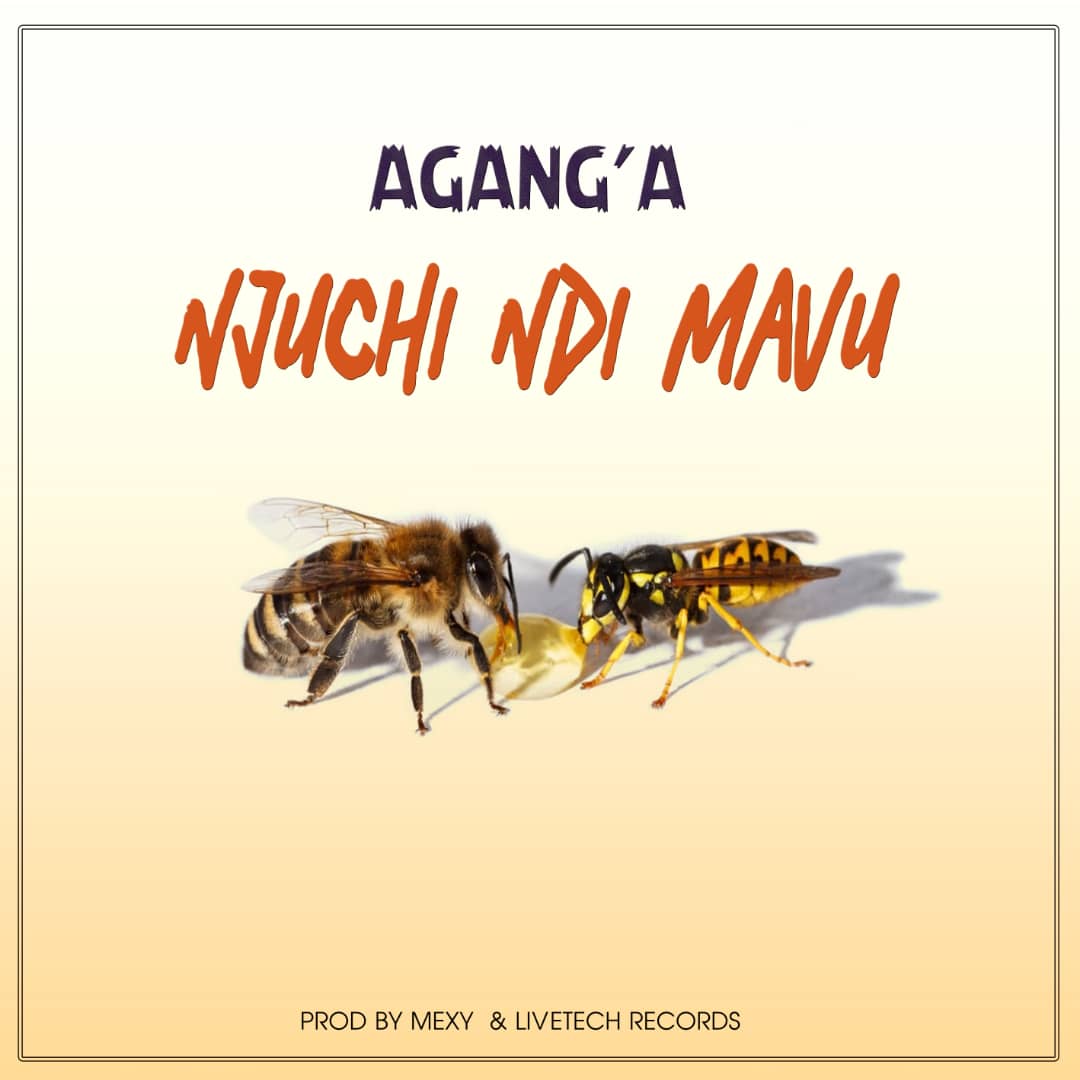 Njuchi Ndi Mavu