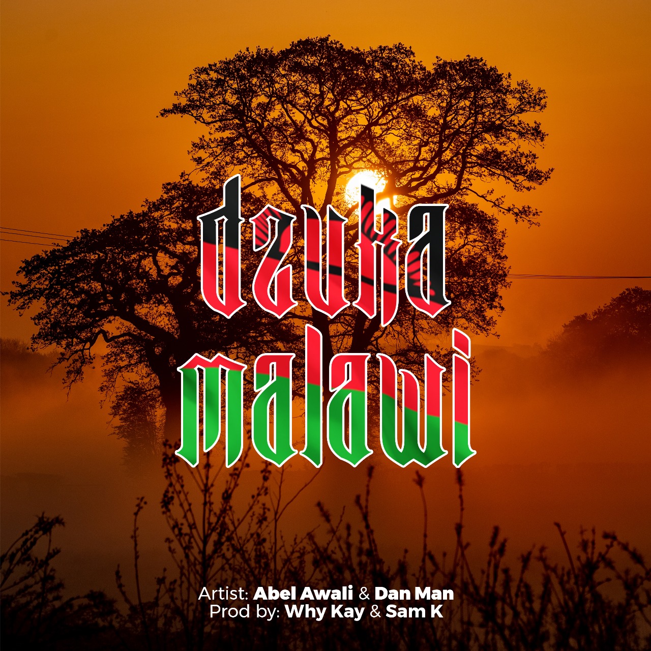 Dzuka Malawi