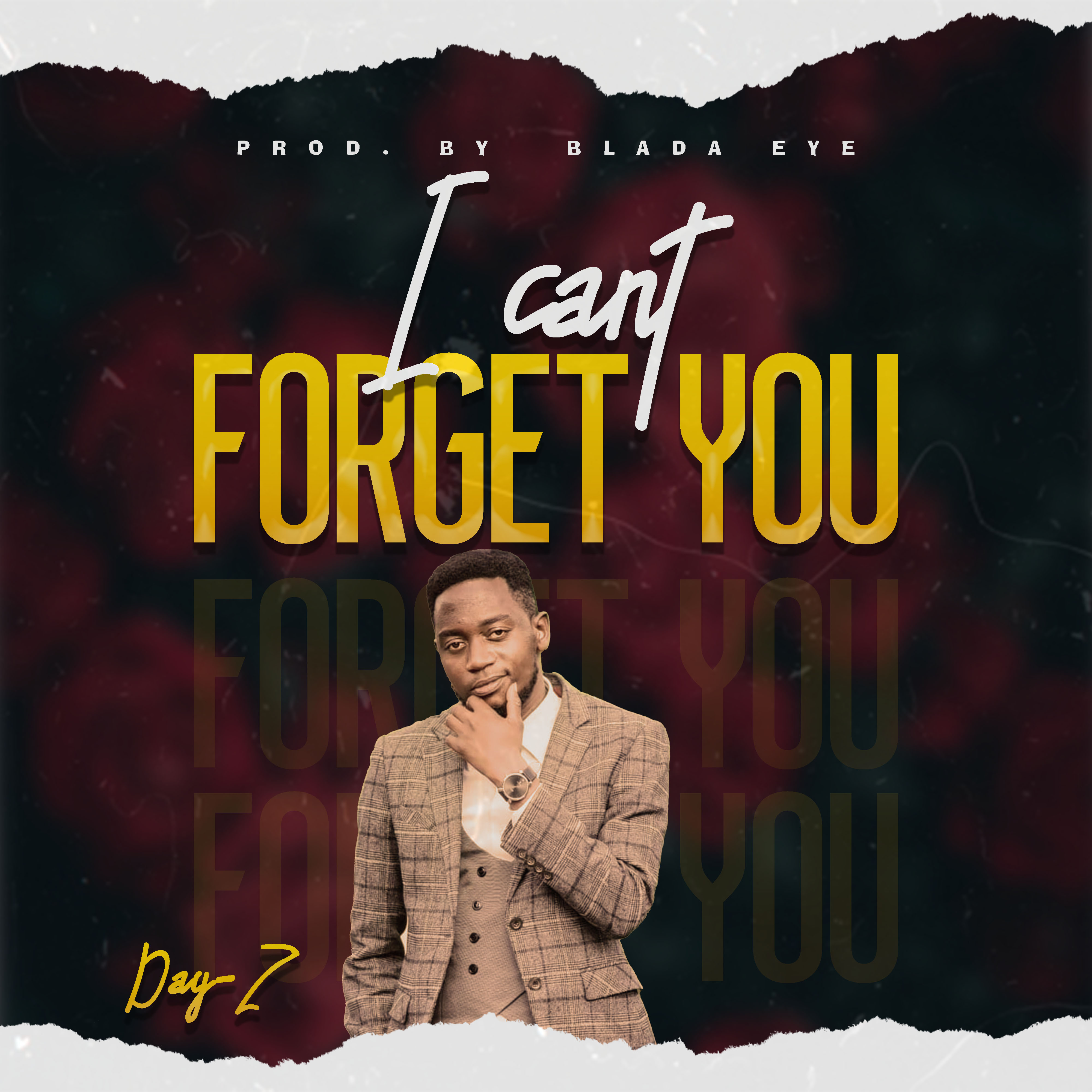 I Cant Forget You