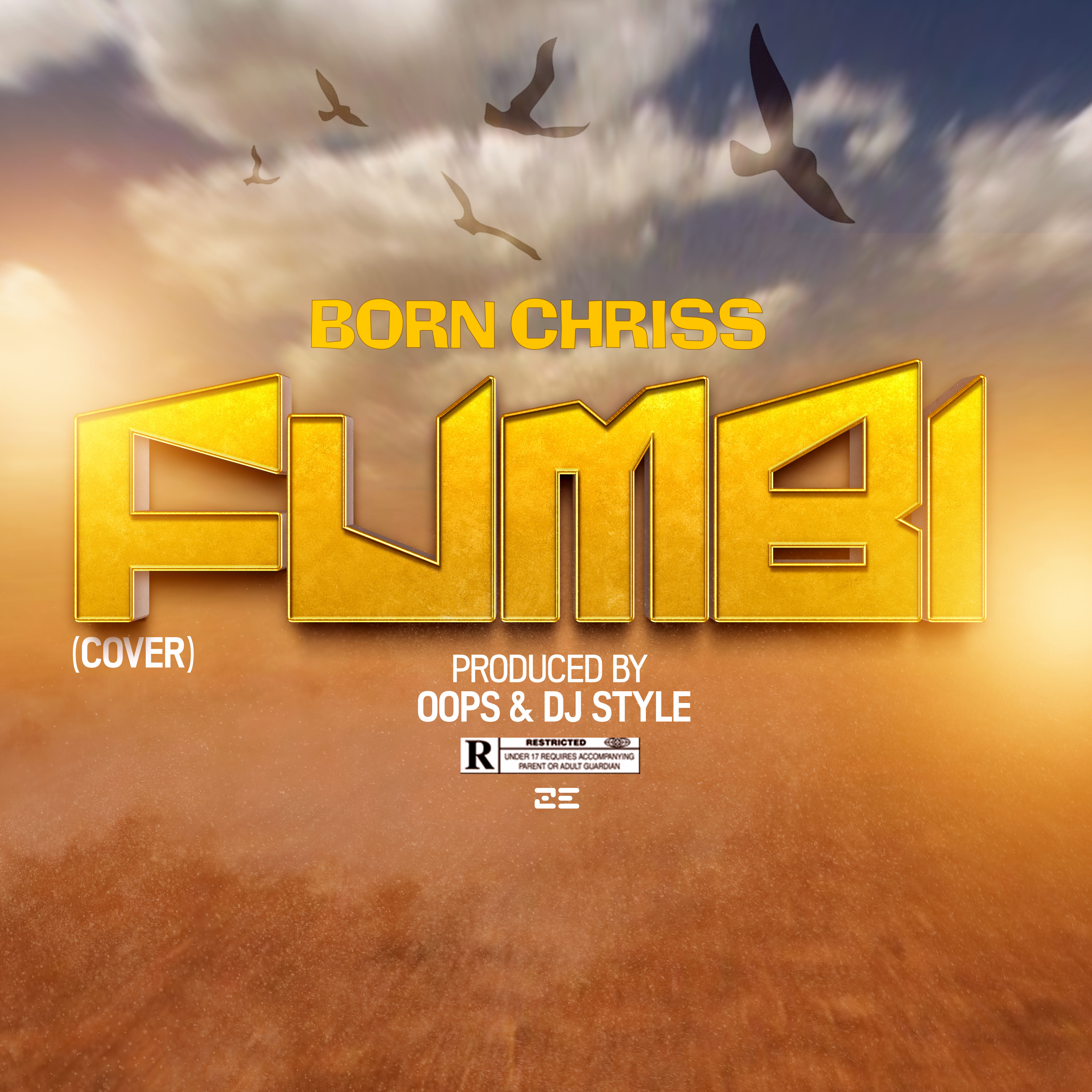 Fumbi