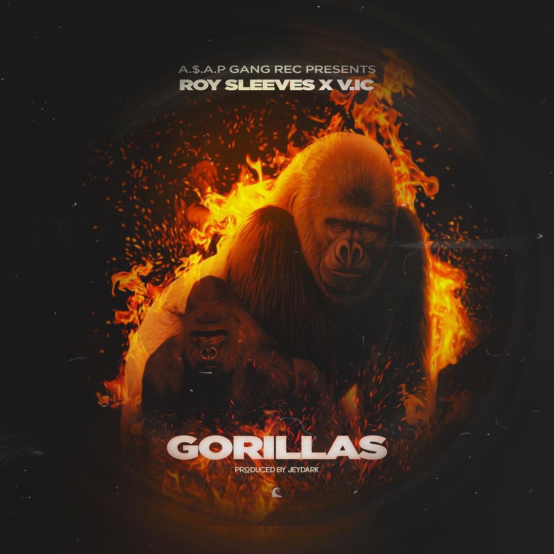 Gorillas 