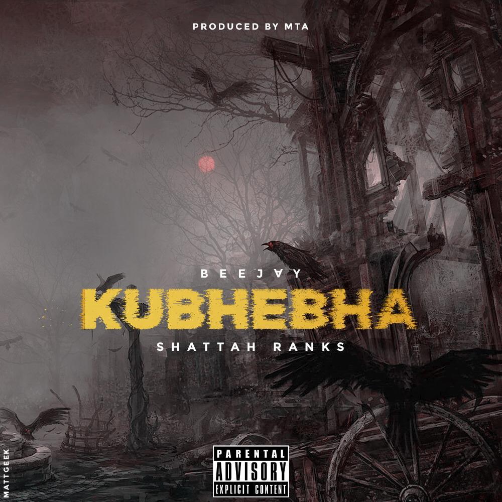 Kubhebha